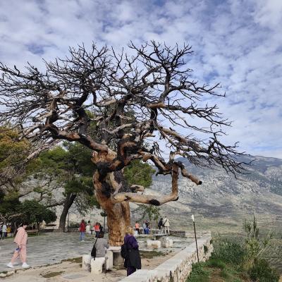 2025 11 2 7 Gorogorszag Nmmk Honlapra 02