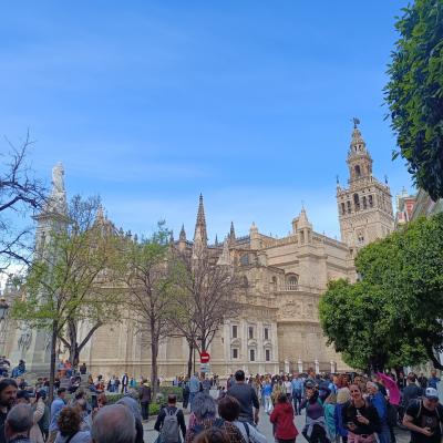 Andalzia 2025 03 19 25 Nvmk 09