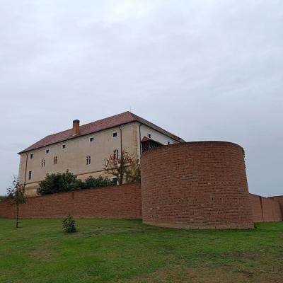 T15